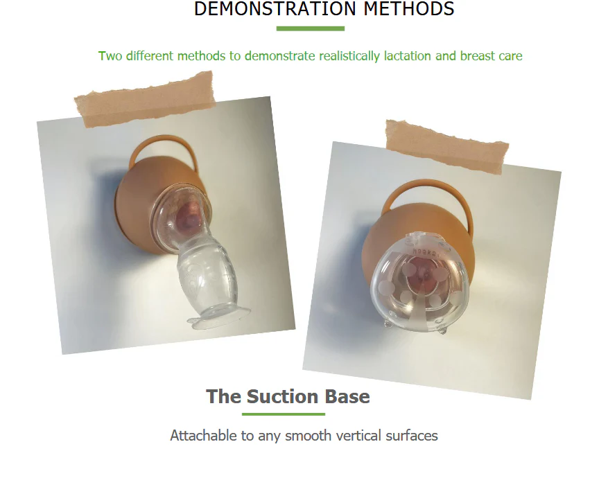 Haakaa Silicone Lactation Demo Breast 1pk - Image 5