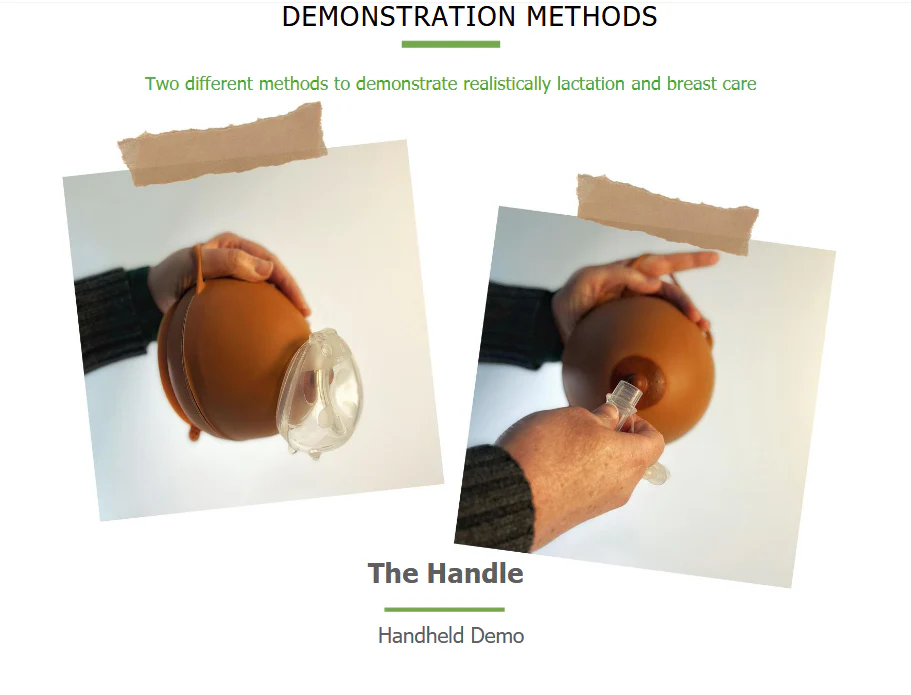 Haakaa Silicone Lactation Demo Breast 1pk - Image 6