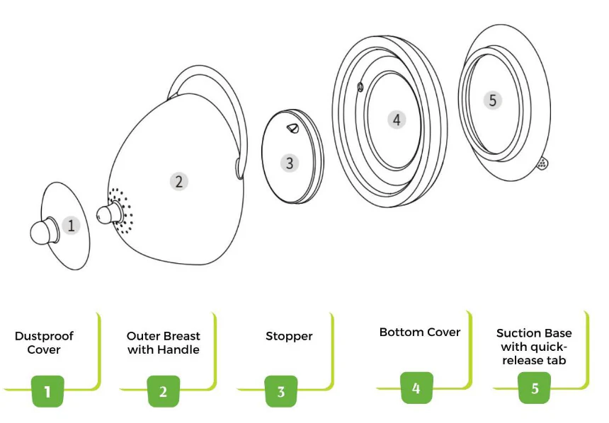Haakaa Silicone Lactation Demo Breast 1pk - Image 7